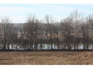 Property photo 4 - LAND AUCTION - 60+/- ACRES IN 1 TRACT IN DAVIESS COUNTY, INDIANA